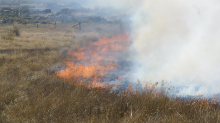 A grass fire caused by unauthorised fireworks